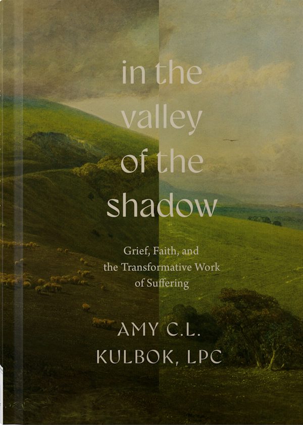 Cover image for In the Valley of the Shadow, isbn: 9780736992473