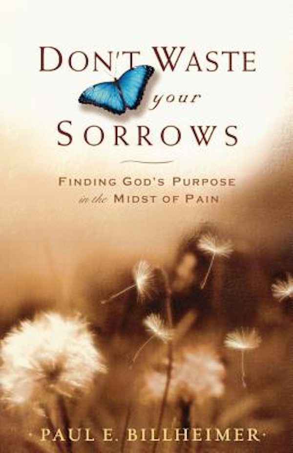 Cover image for Don't Waste Your Sorrows, isbn: 9780764201585
