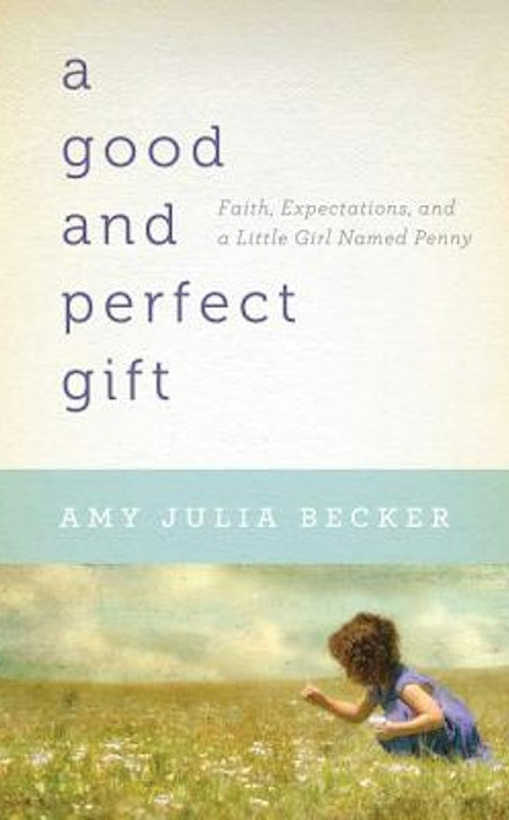 Cover image for A Good and Perfect Gift, isbn: 9780764209178