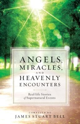 Cover image for Angels, Miracles, and Heavenly Encounters, isbn: 9780764209581