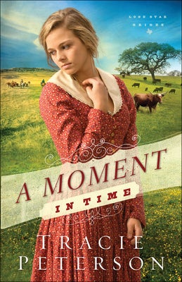 Cover image for Moment in Time, isbn: 9780764210594
