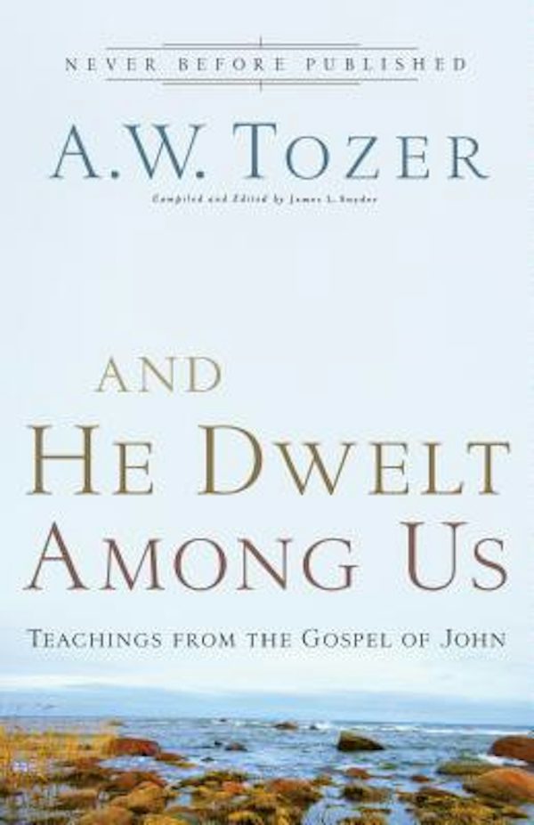 Cover image for And He Dwelt Among Us, isbn: 9780764216145