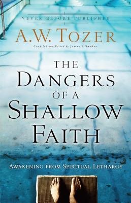 Cover image for The Dangers of a Shallow Faith, isbn: 9780764216169