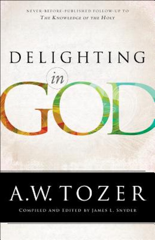 Cover image for Delighting in God, isbn: 9780764217012