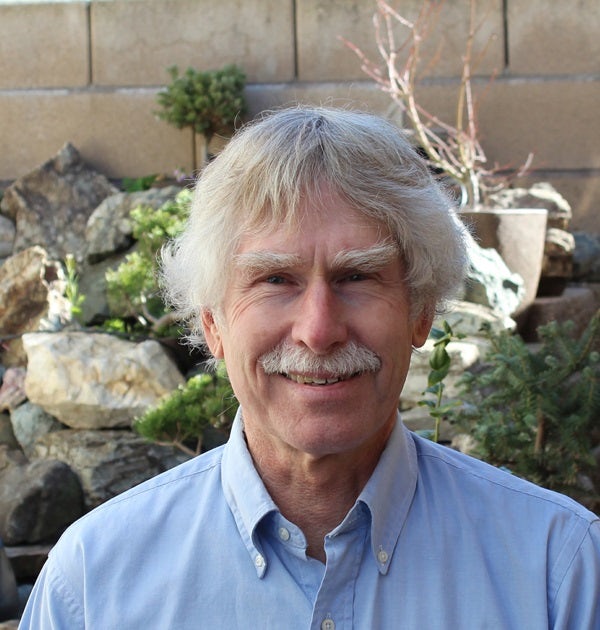 Cover image for The Inheritance, isbn: 9780764217487