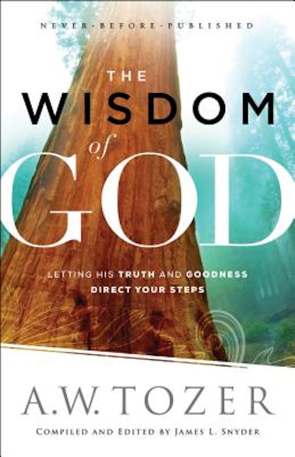 Cover image for Wisdom of God, isbn: 9780764218088