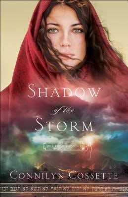 Cover image for Shadow of the Storm, isbn: 9780764218217