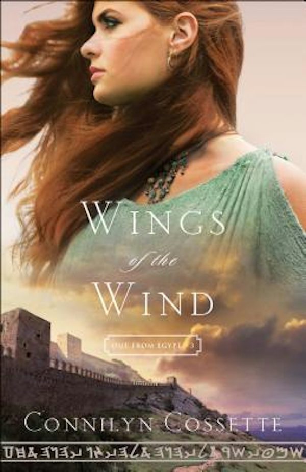Cover image for Wings of the Wind, isbn: 9780764218224