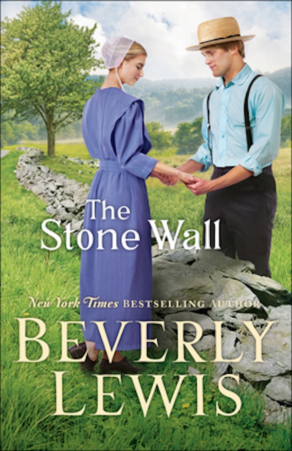 Cover image for The Stone Wall, isbn: 9780764233081