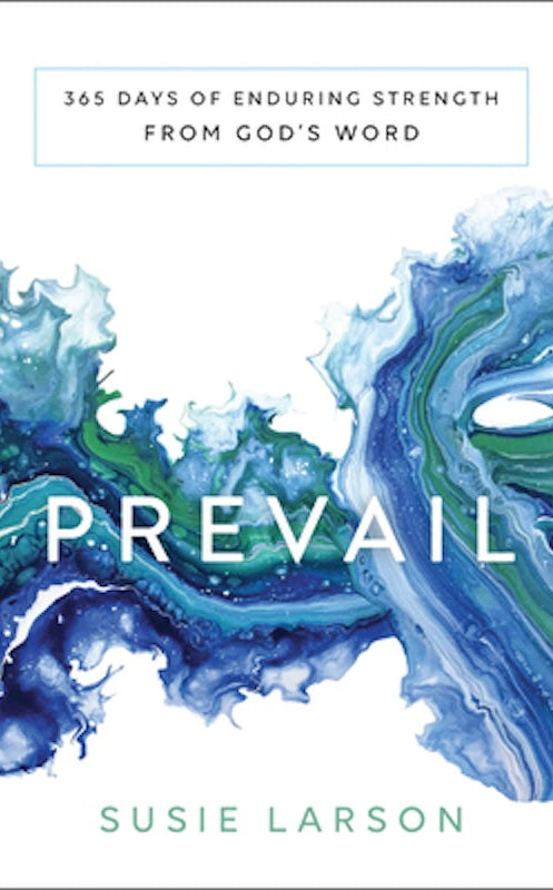 Cover image for Prevail, isbn: 9780764233937