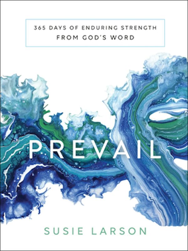 Cover image for Prevail, isbn: 9780764233937