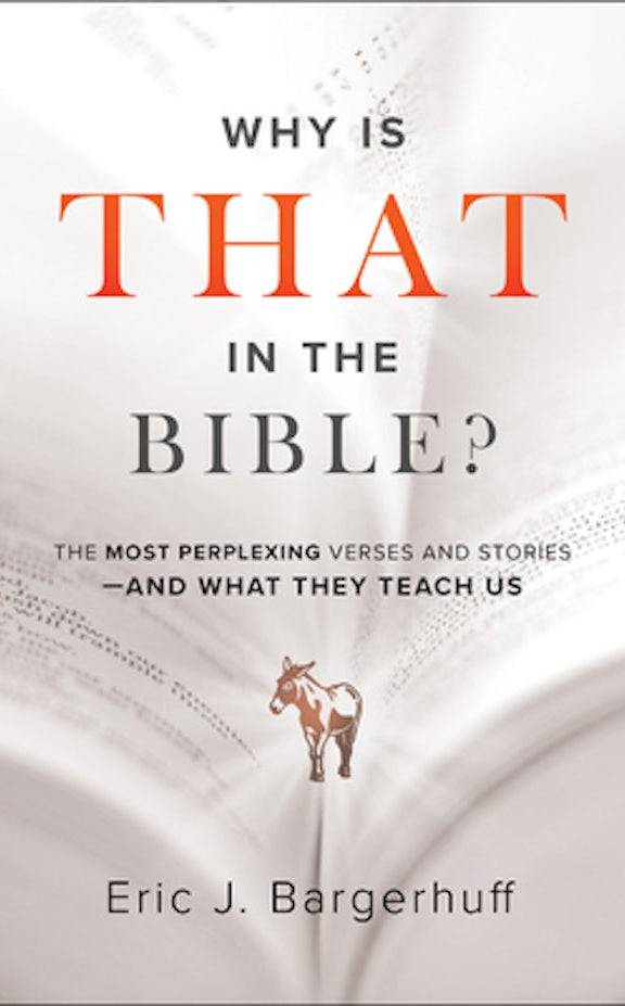 Cover image for Why Is That in the Bible?, isbn: 9780764233999