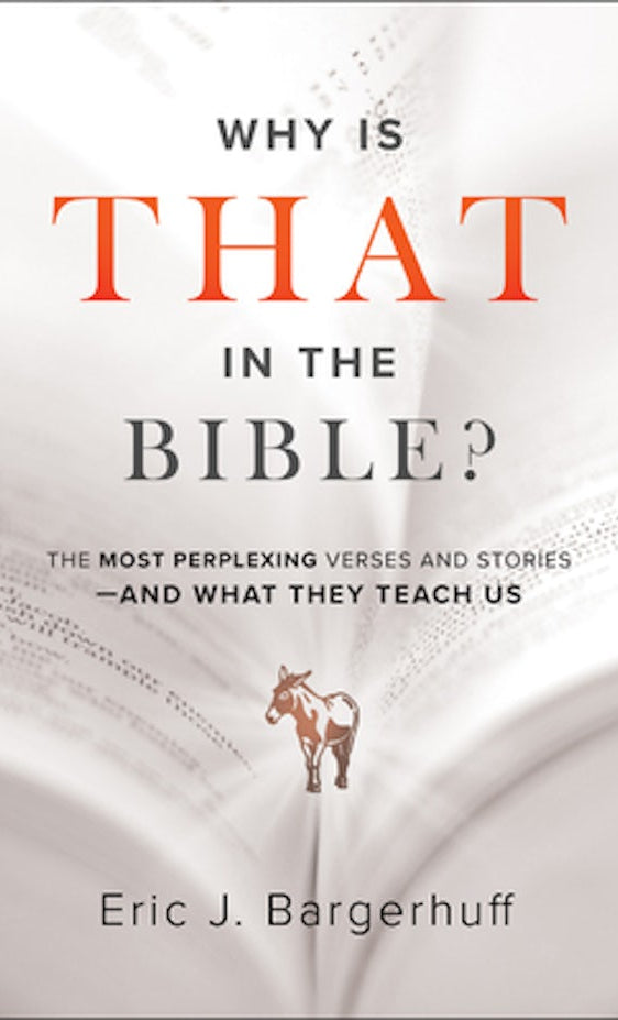 Cover image for Why Is That in the Bible?, isbn: 9780764233999