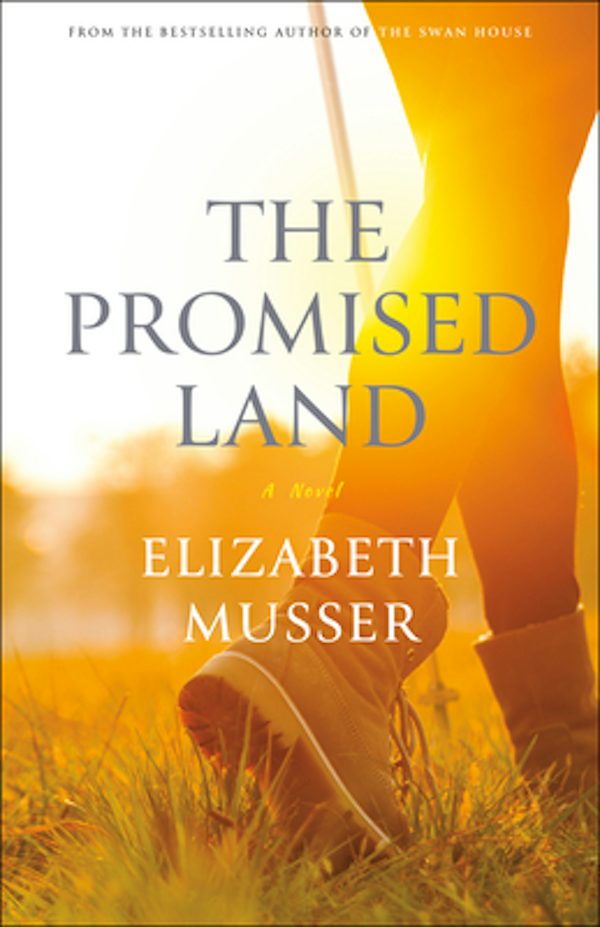 Cover image for The Promised Land, isbn: 9780764234453
