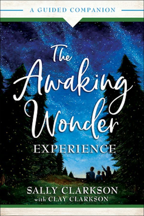 Cover image for The Awaking Wonder Experience, isbn: 9780764236082