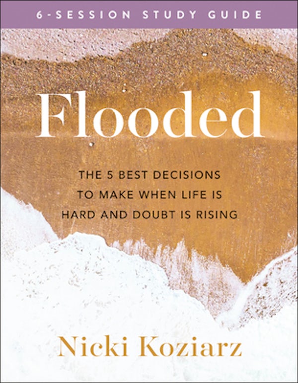 Cover image for Flooded Study Guide, isbn: 9780764236488