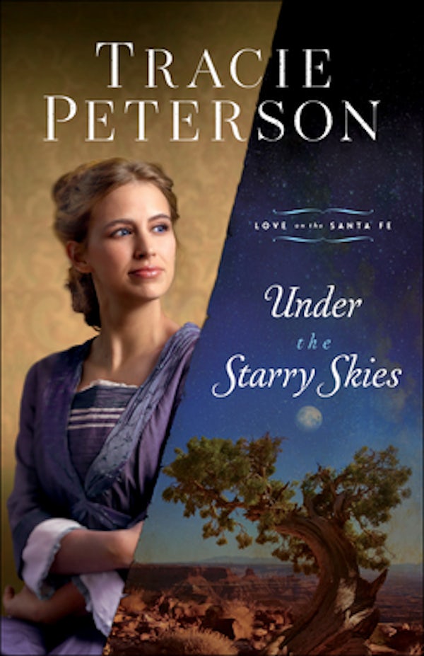 Cover image for Under the Starry Skies, isbn: 9780764237355