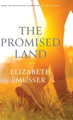 Cover image for Promised Land, isbn: 9780764237850