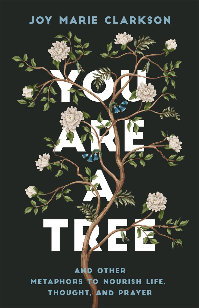 Cover image for You Are a Tree, isbn: 9780764238253