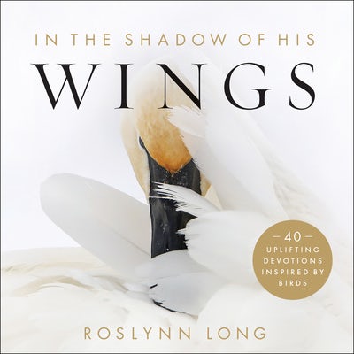Cover image for In the Shadow of His Wings, isbn: 9780764239489