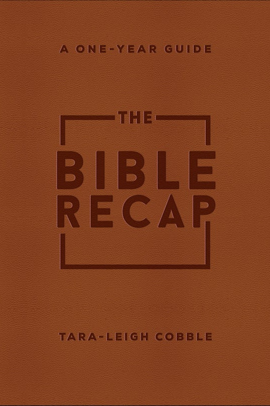 Cover image for The Bible Recap, isbn: 9780764239779