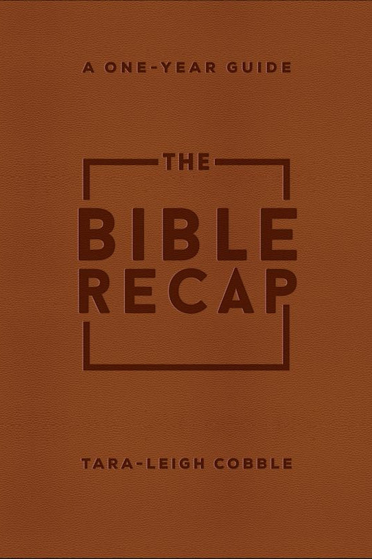 Cover image for The Bible Recap, isbn: 9780764239779
