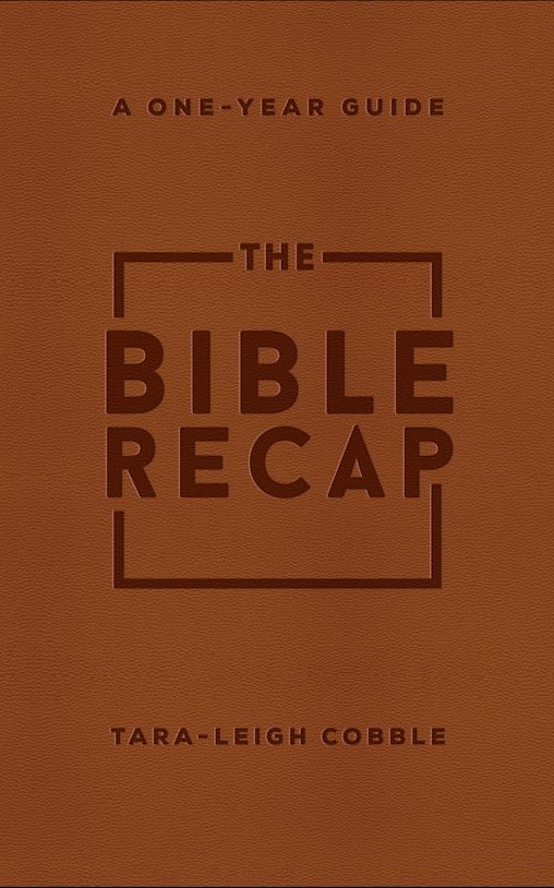 Cover image for The Bible Recap, isbn: 9780764239779