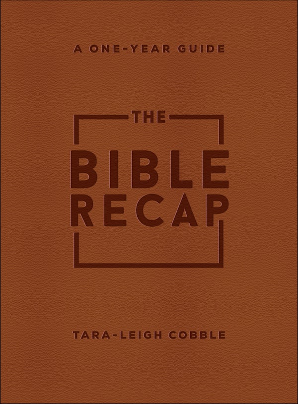 Cover image for The Bible Recap, isbn: 9780764239779