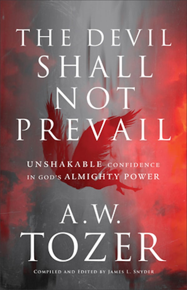 Cover image for The Devil Shall Not Prevail, isbn: 9780764240294