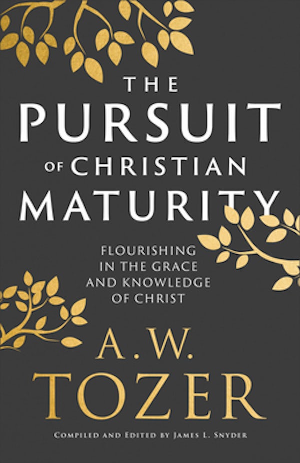 Cover image for The Pursuit of Christian Maturity, isbn: 9780764240300