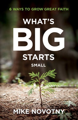 Cover image for What's Big Starts Small, isbn: 9780764240706