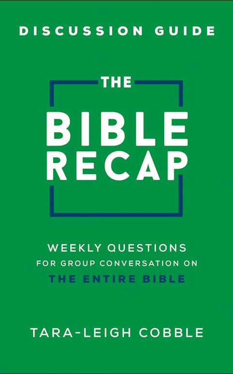 Cover image for The Bible Recap Discussion Guide, isbn: 9780764241482