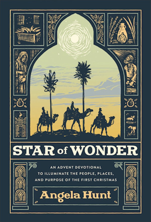 Cover image for Star of Wonder, isbn: 9780764241765