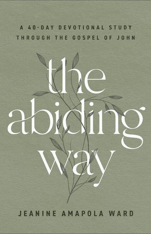 Cover image for The Abiding Way, isbn: 9780764241789