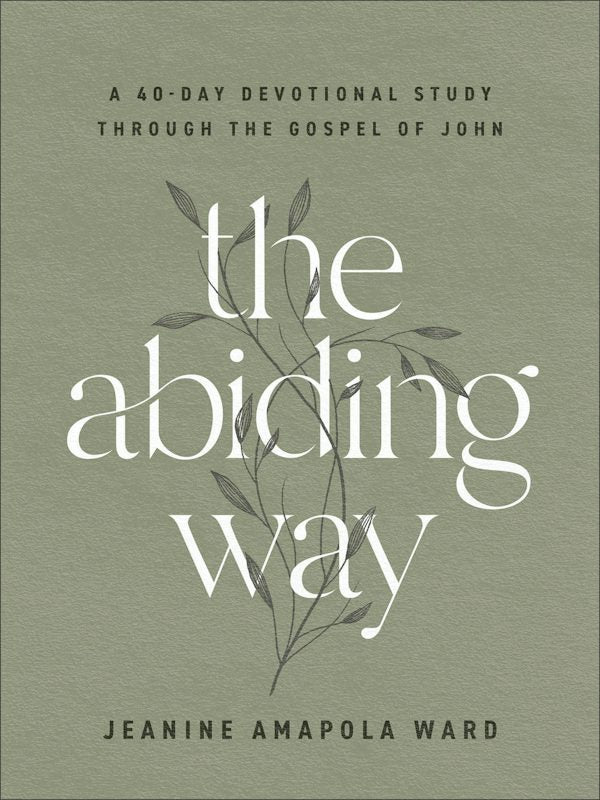 Cover image for The Abiding Way, isbn: 9780764241789