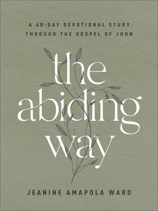 Cover image for The Abiding Way, isbn: 9780764241789