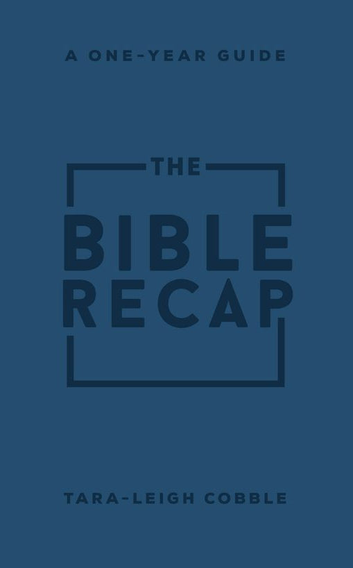 Cover image for The Bible Recap, isbn: 9780764241918