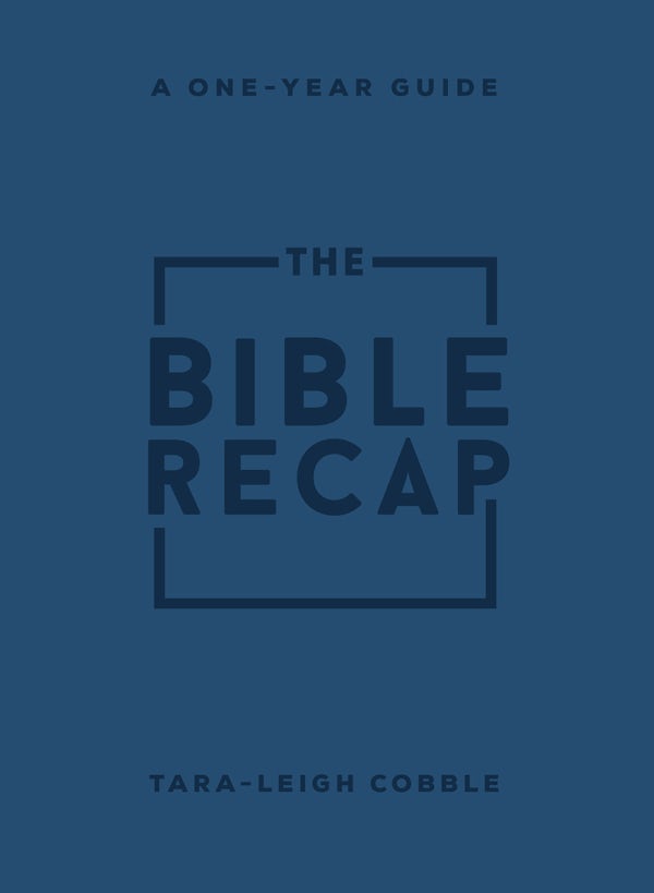 Cover image for The Bible Recap, isbn: 9780764241918