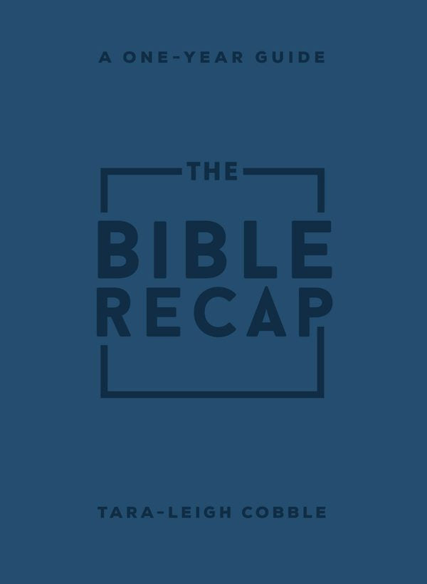Cover image for The Bible Recap, isbn: 9780764241918