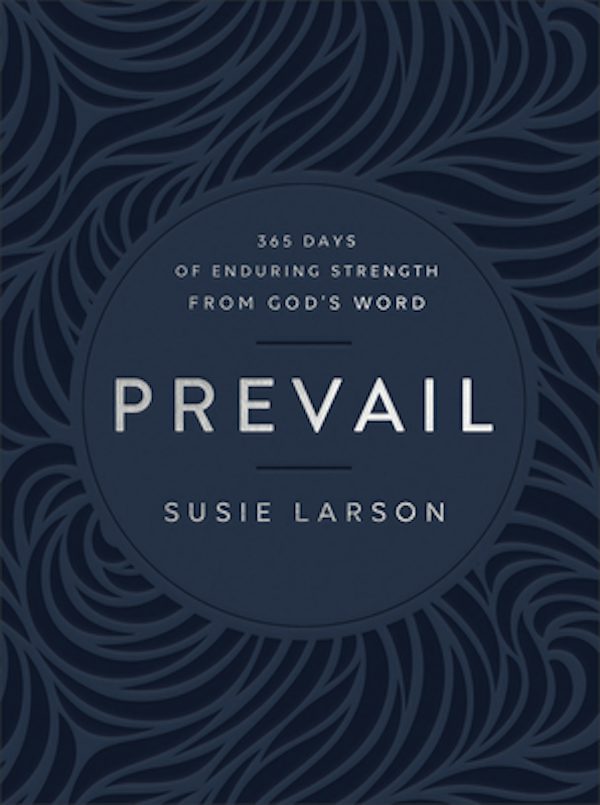 Cover image for Prevail, isbn: 9780764241925