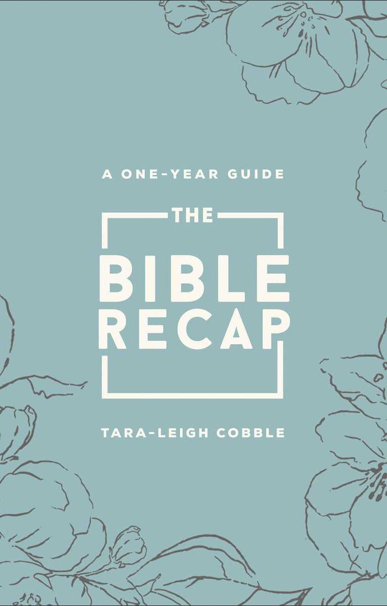 Cover image for The Bible Recap, isbn: 9780764241932