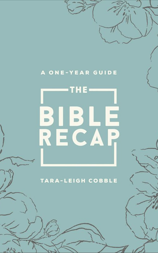 Cover image for The Bible Recap, isbn: 9780764241932