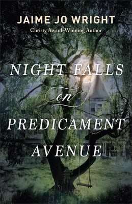 Cover image for Night Falls on Predicament Avenue, isbn: 9780764242915