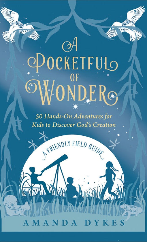 Cover image for A Pocketful of Wonder, isbn: 9780764242939
