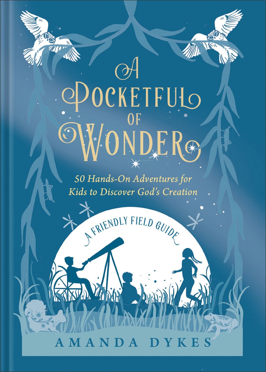 Cover image for A Pocketful of Wonder, isbn: 9780764242939