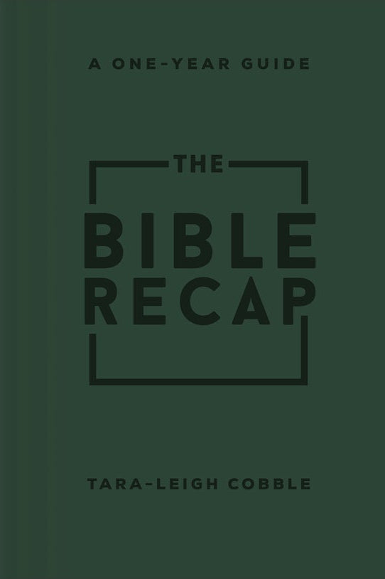 Cover image for The Bible Recap, isbn: 9780764243103