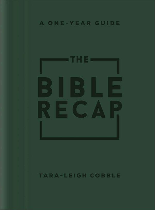 Cover image for The Bible Recap, isbn: 9780764243103
