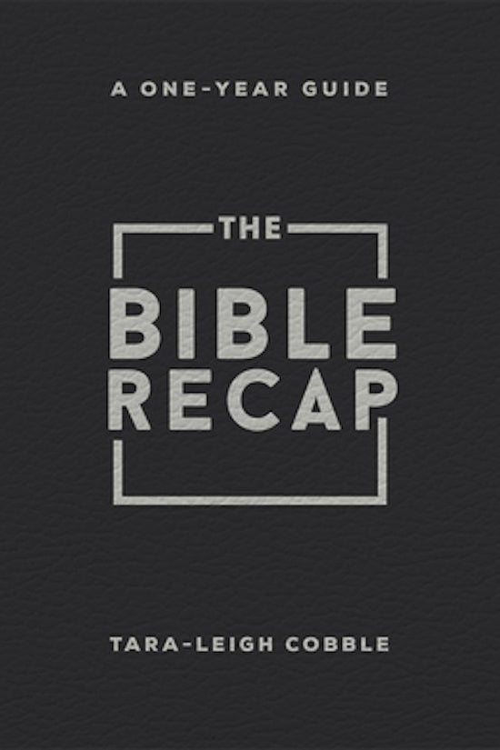 Cover image for The Bible Recap, isbn: 9780764243448