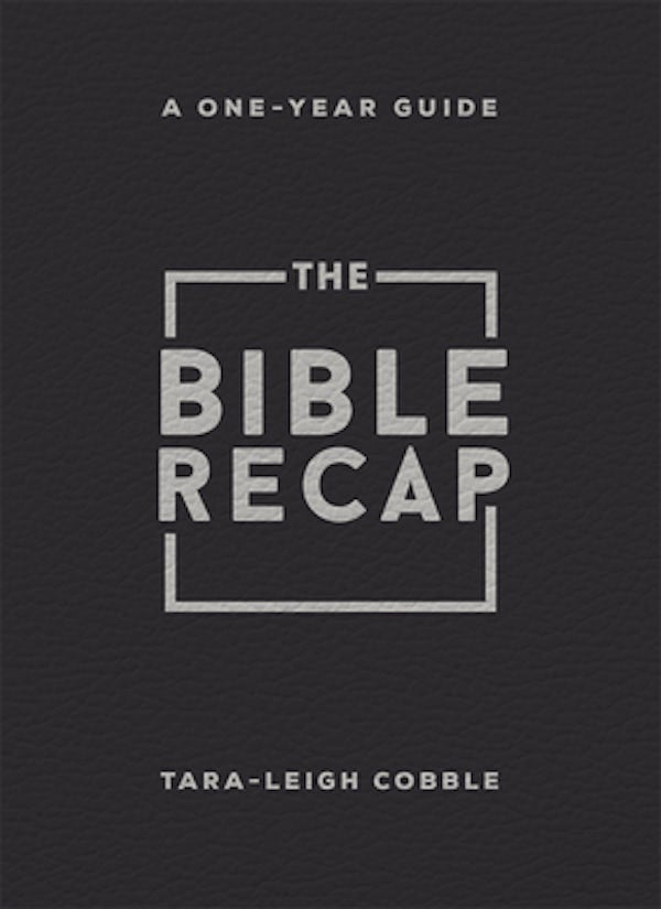 Cover image for The Bible Recap, isbn: 9780764243448
