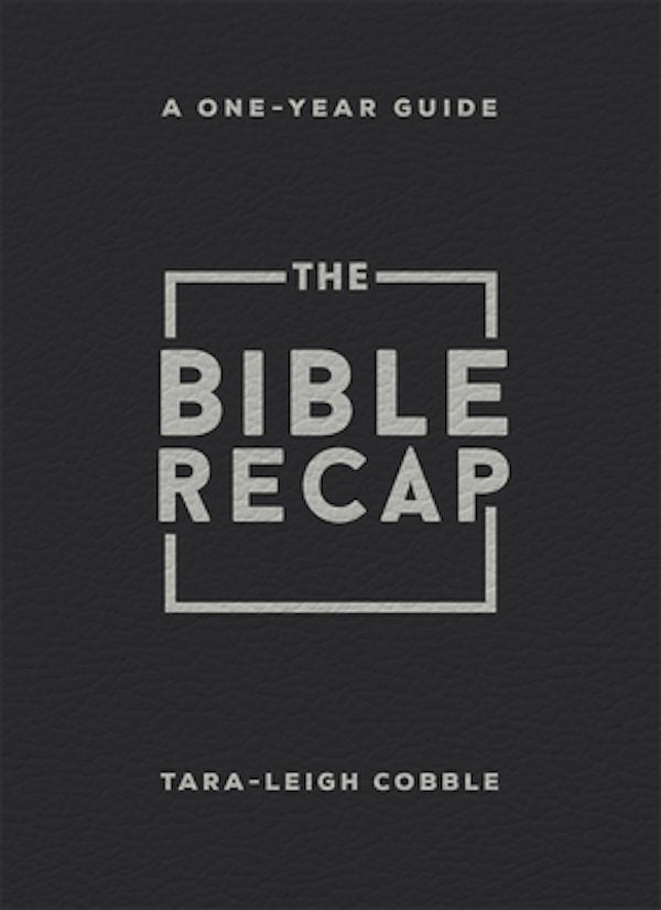Cover image for The Bible Recap, isbn: 9780764243448